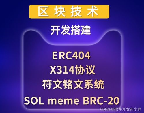 區(qū)塊鏈核心技術開發(fā)全棧實踐 從x314協議到智能合約與公鏈搭建